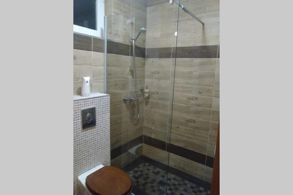 Vilmos-Lak Leilighet Budapest Rom bilde